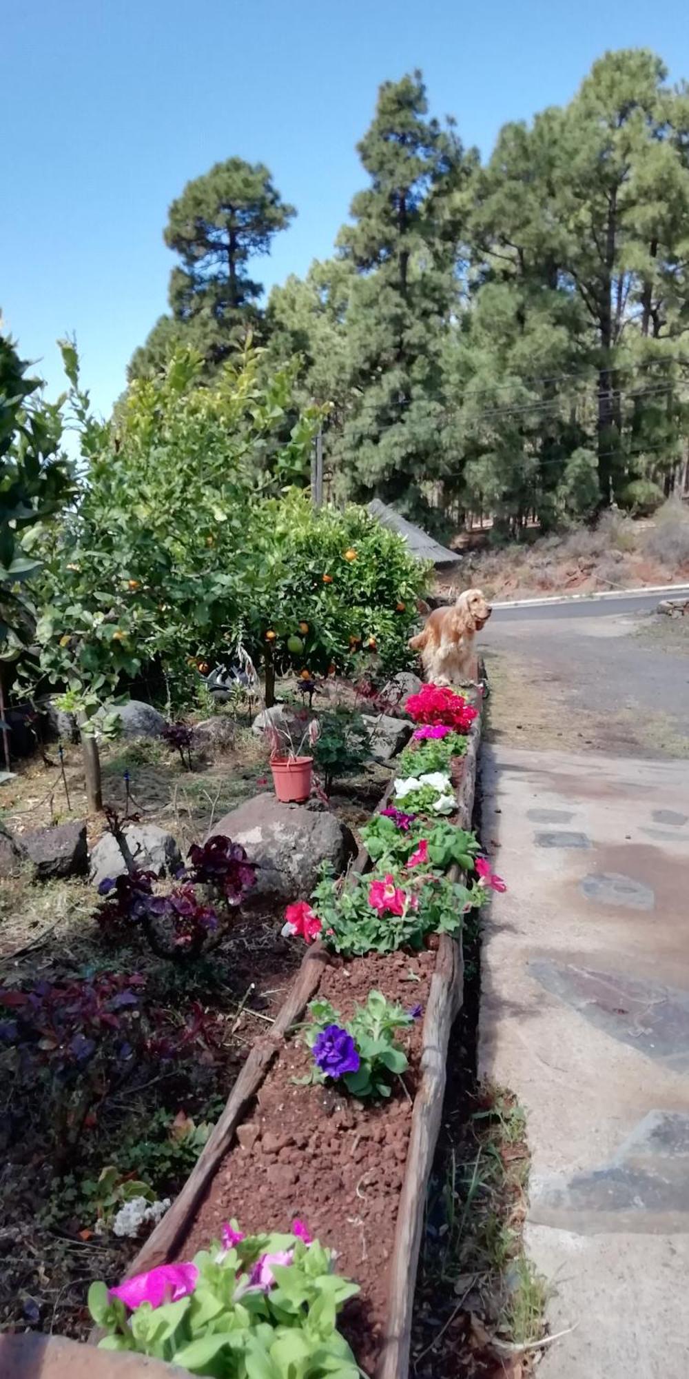 Casa Fagundo Daire Puntagorda Dış mekan fotoğraf