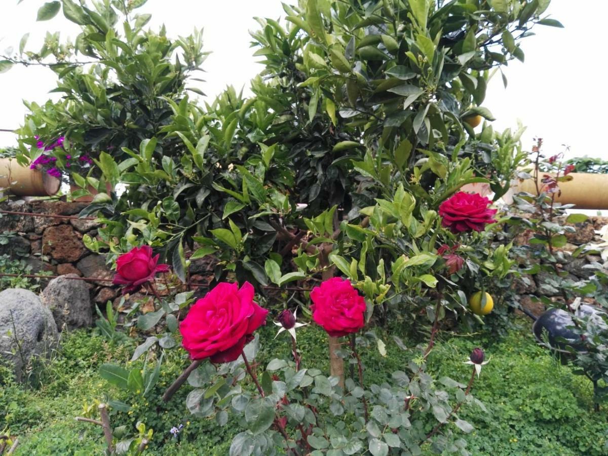 Casa Fagundo Daire Puntagorda Dış mekan fotoğraf